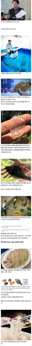 광어 양식의 아버지.jpg