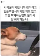 주식으로 소란스러운 와중 몇몇 사람들 특징