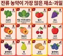 잔류 농약 검출 순위