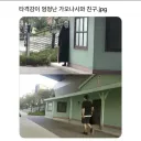 타격감이 엄청난 가오나시와 친구