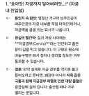 AI가 알려주는 쩡인지 빨간약….