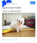코스피 무빙에 완전히 미쳐버린 사람들