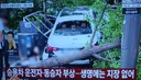 50대 여성 운전자가 인도로 돌진해서 행인1명 사망 ㄷㄷㄷ