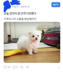 토스 커뮤니티 근황.jpg