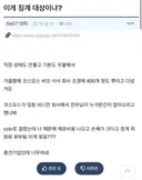 회사에 몰래 코스모스 씨 뿌렸는데 징계 대상이냐?