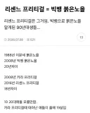 리센느 프리티걸 리메이크로 알게되는 진실.jpg