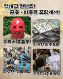애들도 부모도 환장할 수원 곤충 파충류 포럼?