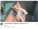 ??? : 이번엔 정 주지 않을거야. 진짜 안 줄거야