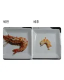 세전 월급과 세후 월급의 차이