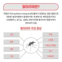 군대에서 가장 충격 받은 거