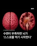 수면부족 시 뇌가 하는 행동