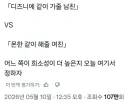 디즈니랜드 같이 가줄 남친 vs 몬헌 같이 해줄 여친 누가 더 희귀헤?
