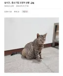 중소기업 동물들모음.