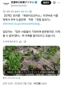 일본 하쿠바 식물원에서 희귀종 식물이 전부 도난 당함