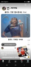 논란중인 홀란드 학대 영상.