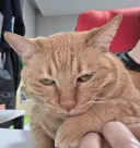 혹시 이거 징역감이야?