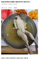 오늘 회사에서 삼계탕 나왔는데 이거 맞는거냐?.jpg