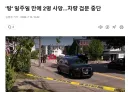 미국 ICE '탕' 일주일 만에 2명 사망…차량 검문 중단