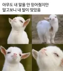 커뮤 하다가 오르가즘 느낄때.jpg