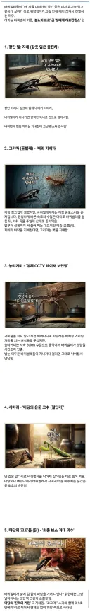 (약혐)시골집에 오히려 바퀴벌레가 없는 이유