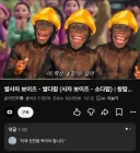 쌀다팜 근황.youtube