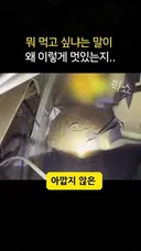 우리나라 세금이 아깝지 않은이유