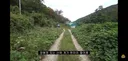 갑자기 유튜버 집에 들어온 떠돌이개가 알고보니 부잣집 도련님이었음.jpg