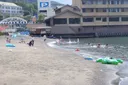 백조가 돌아다닌다고 화제인 일본 해수욕장.txt