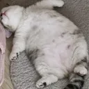 얘들아 나 너무 더워......................