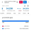 주식) 삼전 하이닉스 레버리지 투자자들 근황ㅋㅋ