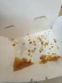 치킨먹다 불쾌감 느끼는거 오랜만이네