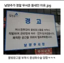거세 야호~