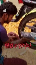 놀라운 테크놀로지아 인도 옥수수 탈곡 과정