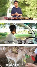 어느 16세 소년의 삶