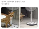무슨 이날씨에 벌써 선풍기냥.jpg