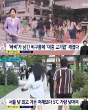 열돔) 태풍이 열돔을 이겼다고