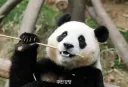 그러고보니 클리앙 시스템 뭔가 이것저것 바뀌네요.
