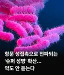루리웹 비상!!