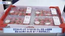 뭔가 심각한 오해를 살뻔했던 인니 한국 딸기 팝업