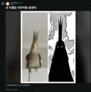 원피스 이무 앵무새론 정리