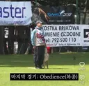 강형욱 강아지 복종대회 맛보기 영상