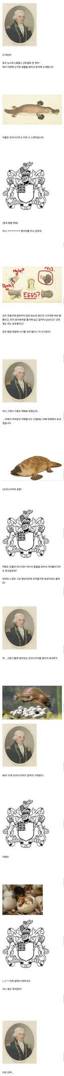 오리너구리 발견한 학자가 혼자 세상 욕을 다 먹은 이유