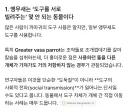 원피스) 와 gpt한테 앵무새 특성 속성강의 들었는데 소름돋음 ㄷㄷ