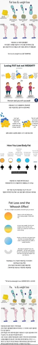 다이어트하는데 무게가 오히려 느는 이유
