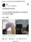 단비 보고싶어해서 영통 걸엇더니 단비한테 옥수수 쪘다고 자랑함