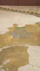 "사장님 잠깐 강아지 데리고 들어가도 돼요?"