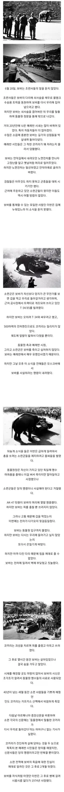 소련 :  코끼리가 총으로 안 죽어요?.jpg