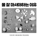 약혐) 결석 아트