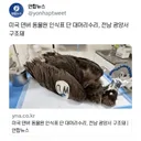 네비 주소 잘못 친 독수리