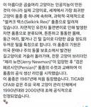 세계에서 가장 희귀하다는 ㄹㅇ 대존예 고양이